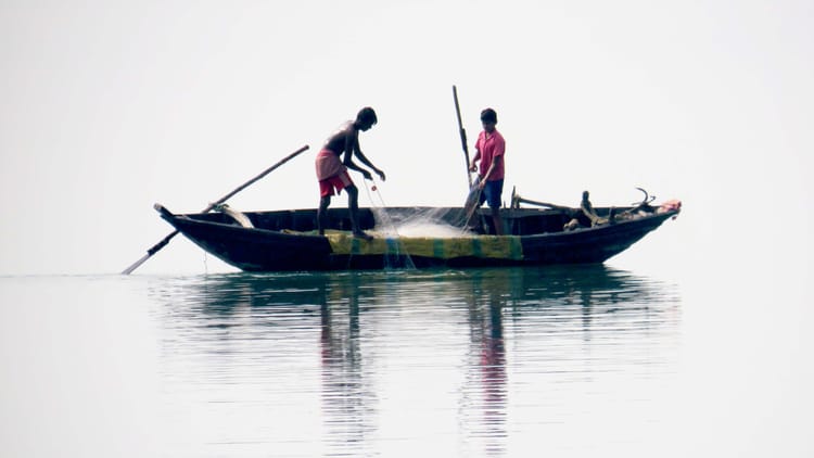 Fishermen observe improved stocks after a year of relative industrial quiet