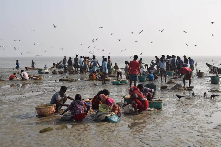 The forgotten fishers of Bangladesh