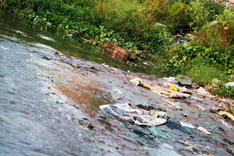 Shitalakshya river is dying slowly