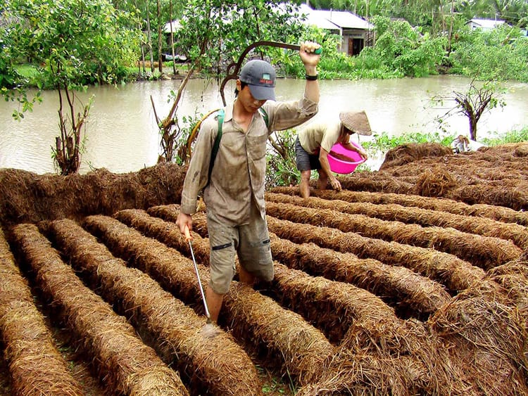 To alleviate the pain behind the lush Mekong Delta