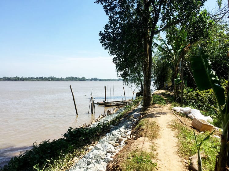 Small-scale solutions to riverbank erosion