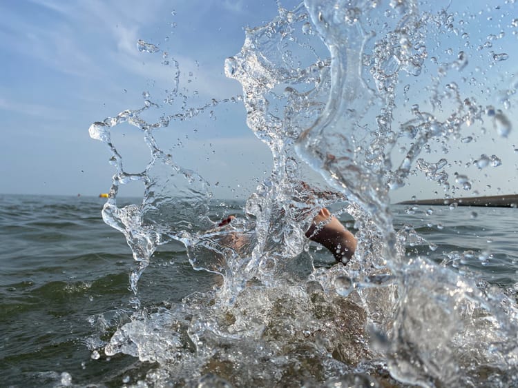 This is how Dutch farmers are saving water for the future