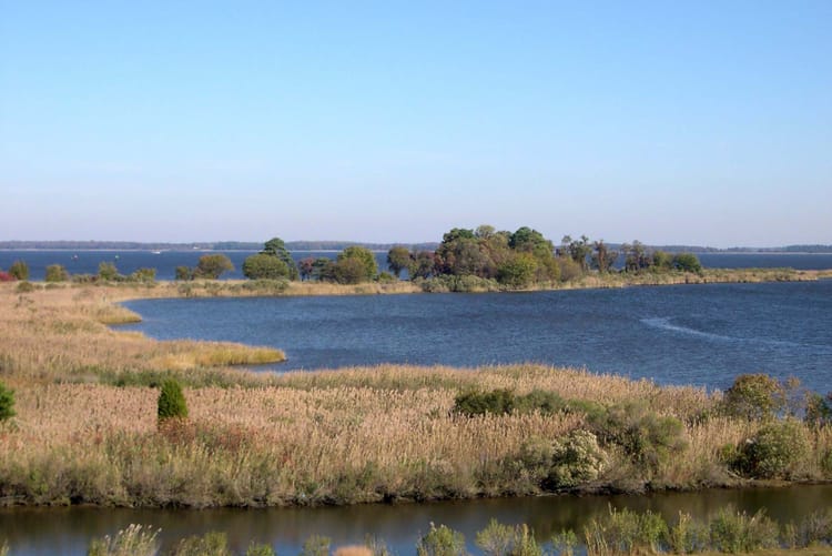 Multi-state synergy improves Chesapeake Bay watershed