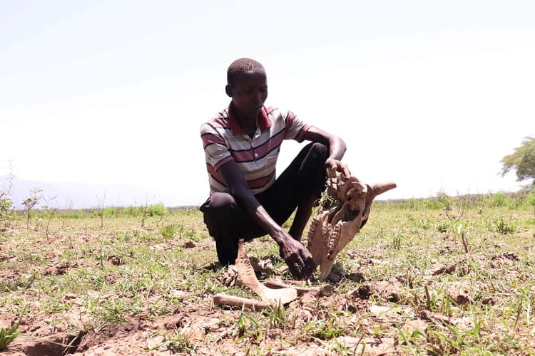 Why Baringo residents want Lake Kamnarok to be restored