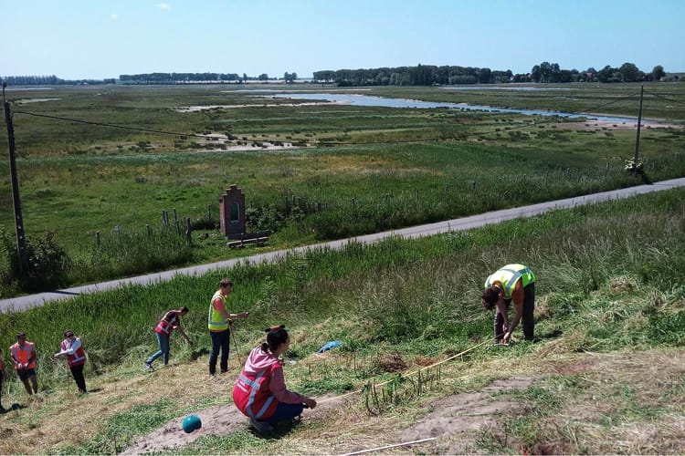 Uncovering the hidden dangers within dikes