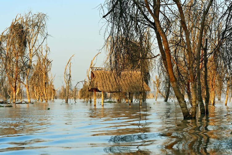 Rift Valley community’s post-flood struggles and resilience