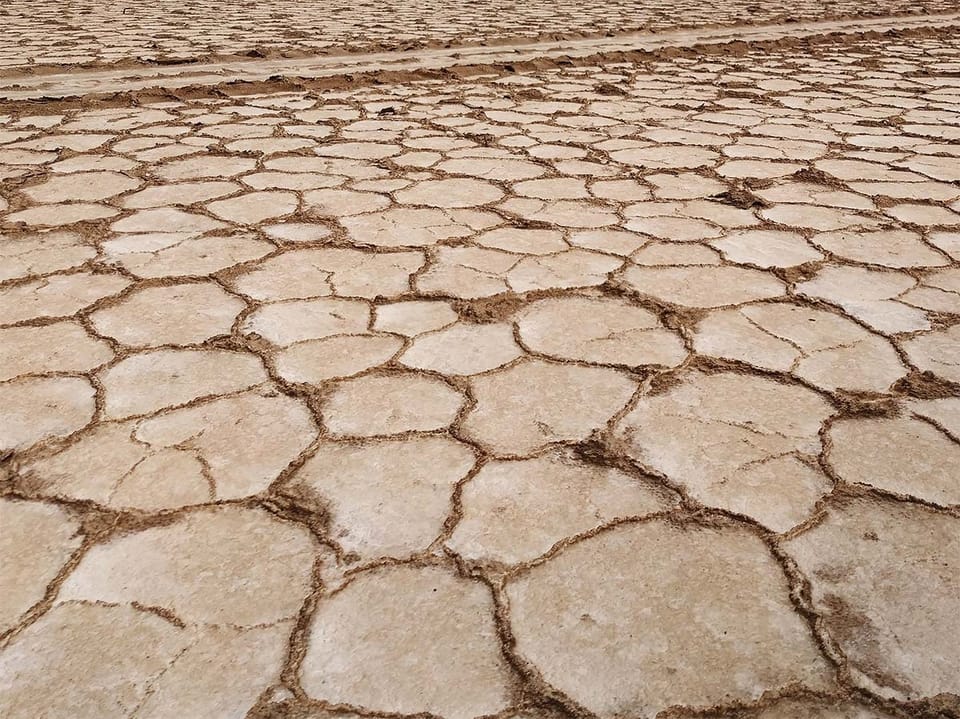 Battling for survival along the warming source of Blue Nile