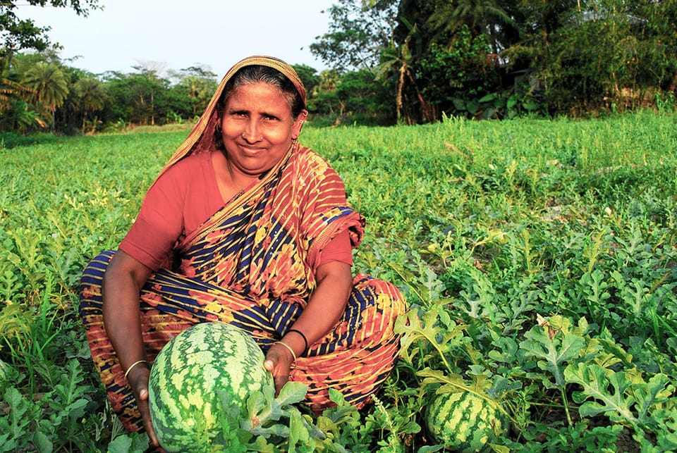 Earning money is key to women’s empowerment