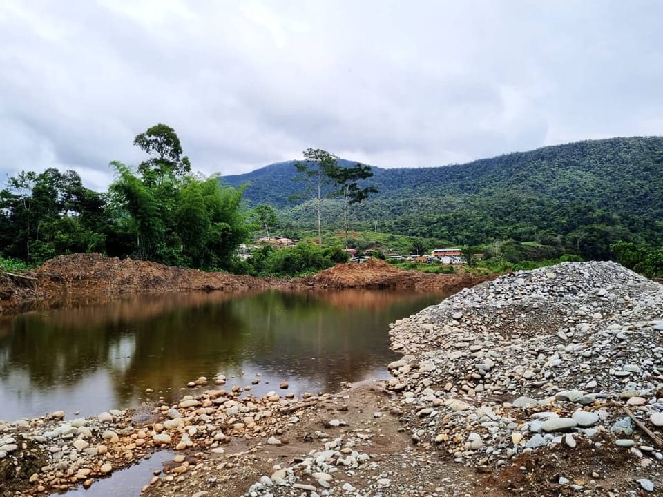 Can “green gold” revive Ecuador’s land degraded by gold mining?