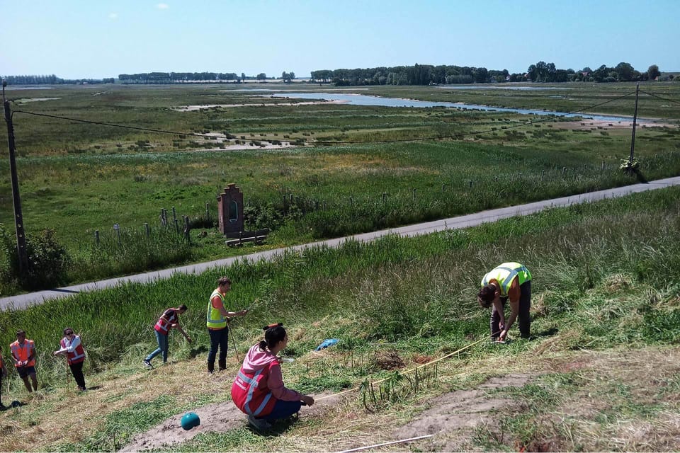 Uncovering the hidden dangers within dikes